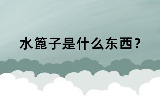水篦子是什么東西？