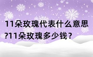 11朵玫瑰代表什么意思?11朵玫瑰多少錢？