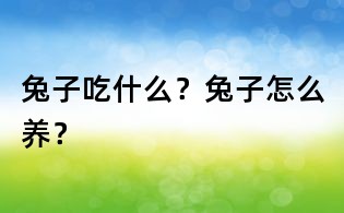 兔子吃什么？兔子怎么養？