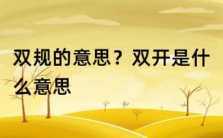 雙規的意思？雙開是什么意思