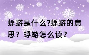 蜉蝣是什么?蜉蝣的意思？蜉蝣怎么讀？