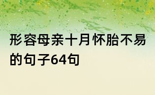 形容母親十月懷胎不易的句子64句