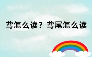 鳶怎么讀？鳶尾怎么讀