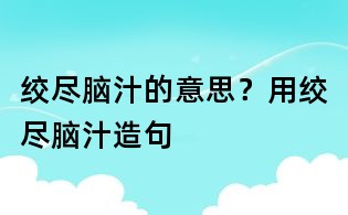 絞盡腦汁的意思？用絞盡腦汁造句
