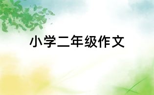 小學二年級作文