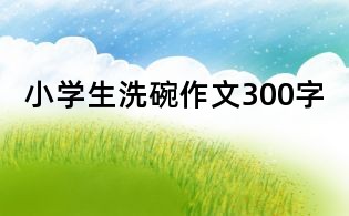 小學(xué)生洗碗作文300字