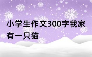 小學(xué)生作文300字：我家有一只貓