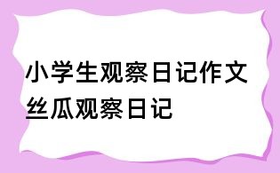 小學生觀察日記作文 絲瓜觀察日記