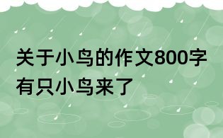 關(guān)于小鳥的作文800字：有只小鳥來了