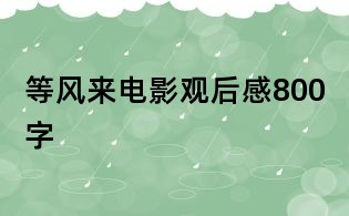 等風來電影觀后感800字