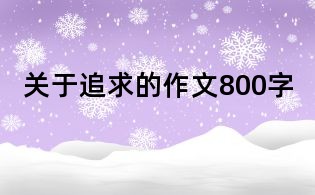 關(guān)于追求的作文800字