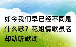 如今我們早已經不同是什么歌？花姐情歌雖老卻動聽歌詞