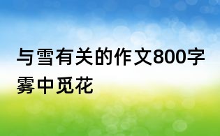 與雪有關(guān)的作文800字：霧中覓花